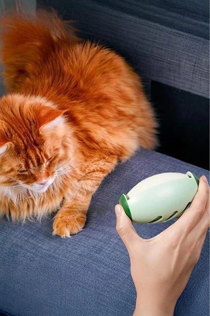 Yıkanabilir Vantuzlu Tüy Toplayıcı